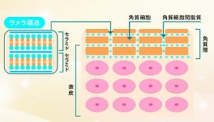 ハリッチプレミアムリッチ 成分