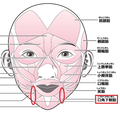 口角上げる 常に,真顔が怖い,首筋 頚部ボトックス